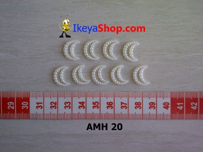 AMH 20  large2
